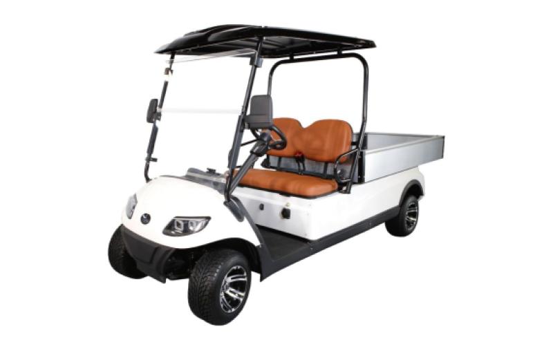 Cruise Car